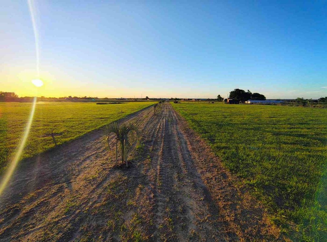 LOTES EN VENTA SOBRE RUTA 12 GOYA CTES