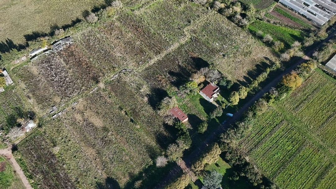 VENTA DE CAMPO 4,69HAS CON CASA Y GALPON (L.OLMOS)