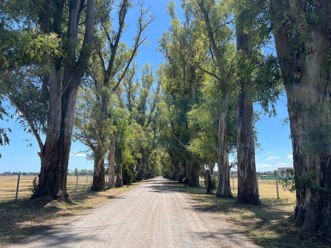 Venta Lote en Tres Pinos, Gral Rodriguez