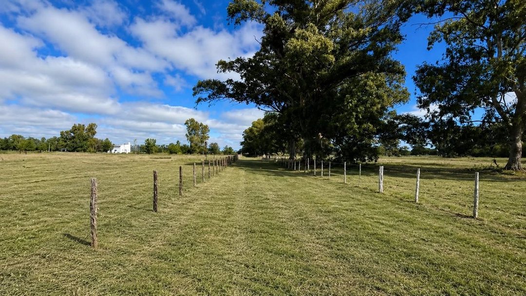 TERRENO EN VENTA SAN MIGUEL DEL MONTE RN 41 Y 215
