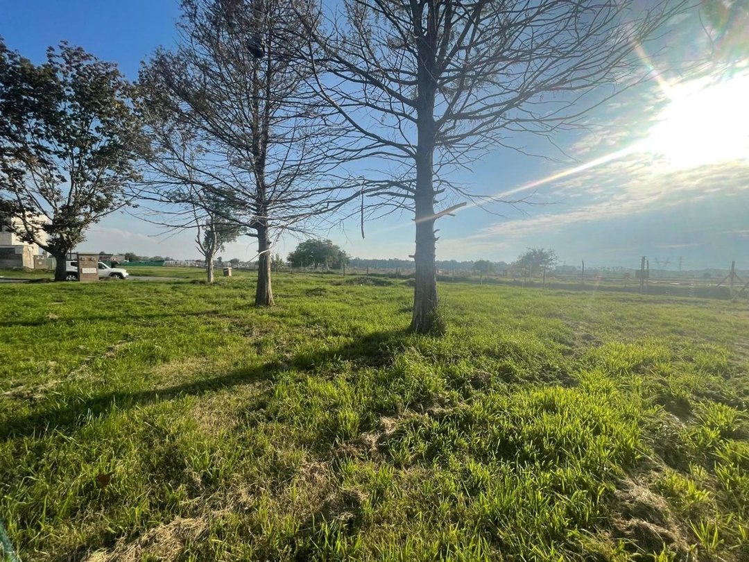 Lote en Venta en Barrio San Simon en Canning