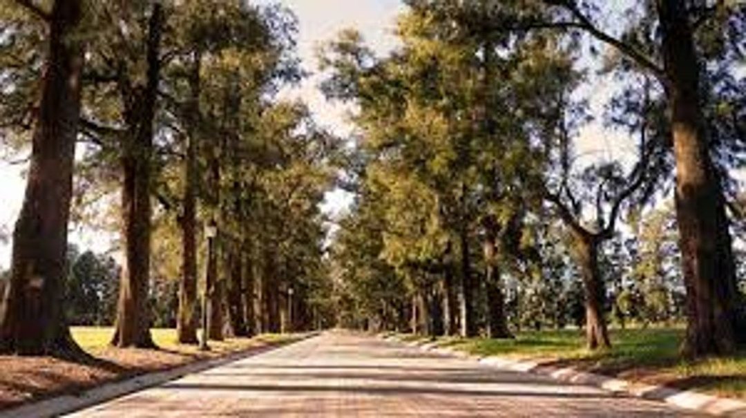 Venta Lote 1000m Azahares del Paraná Permuta