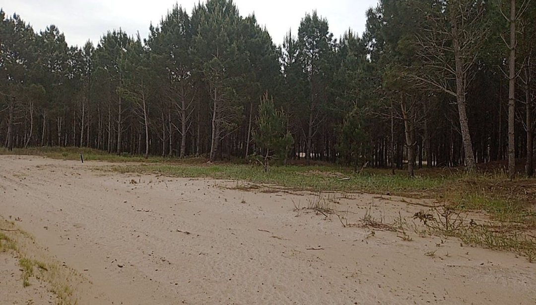 PINAMAR VENTA LOTE BARRIO BOSQUES ETAPA 3