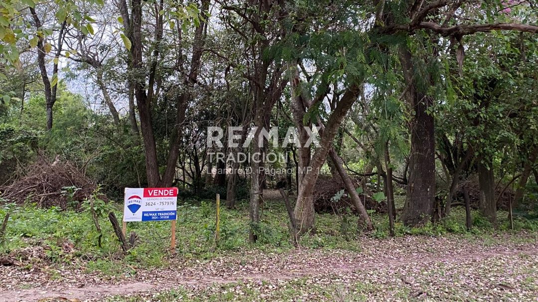 TERRENO - EN VENTA - COLONIA BENITEZ - 1 HECTAREA