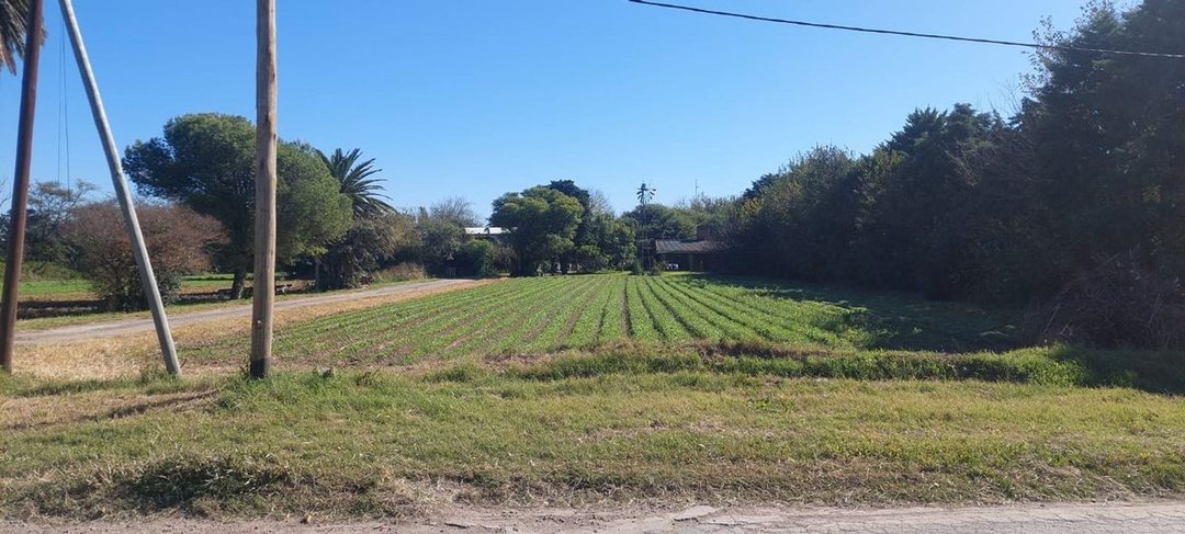 VENTA TERRENO SOBRE CAMINO SAN CARLOS