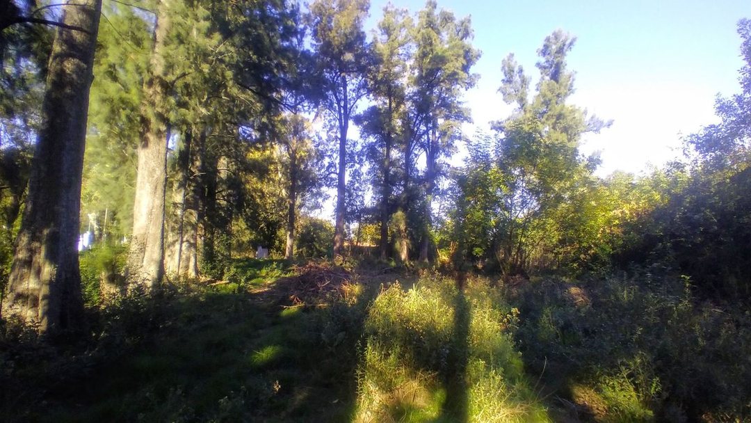 Venta lote en Merlo 690 m2 totales