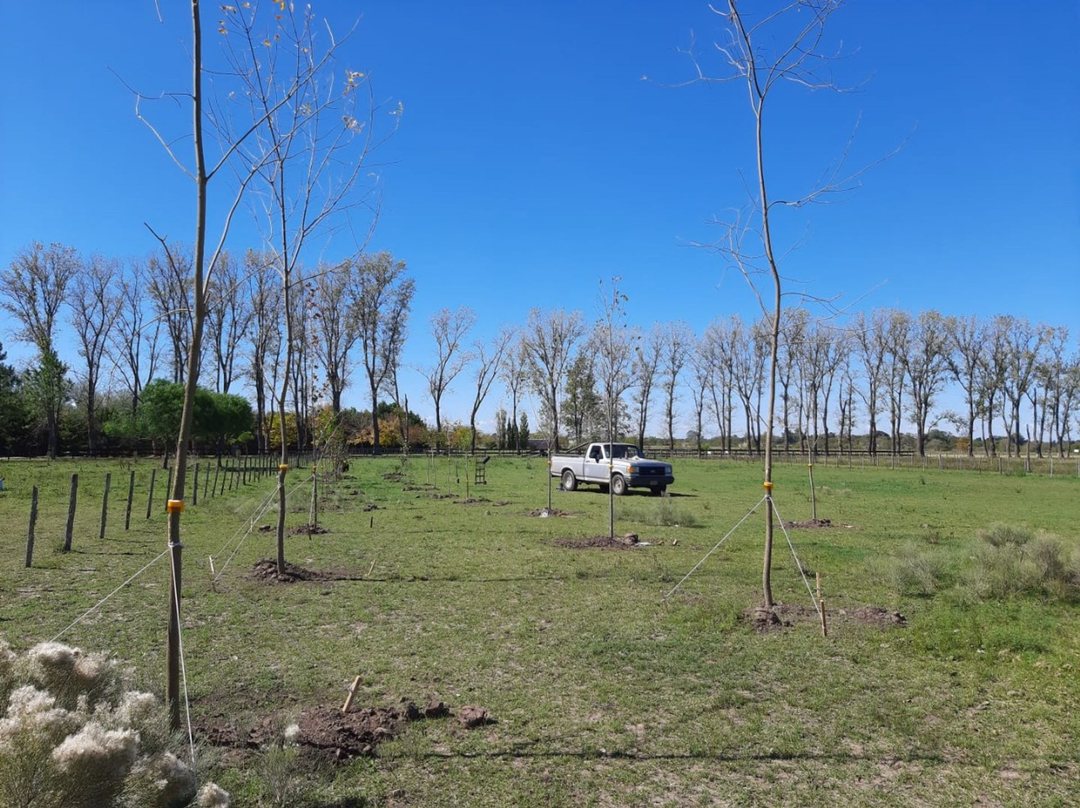 Lote 5000m2 en VENTA en El Malacate