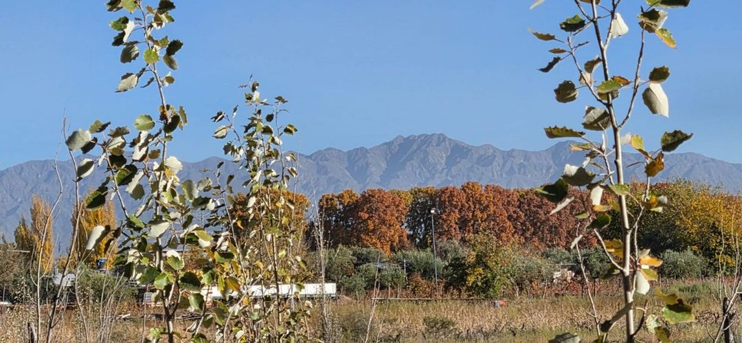 VENTA GRAN TERRENO APTO EMPRENDIMIENTO EN PERDRIEL