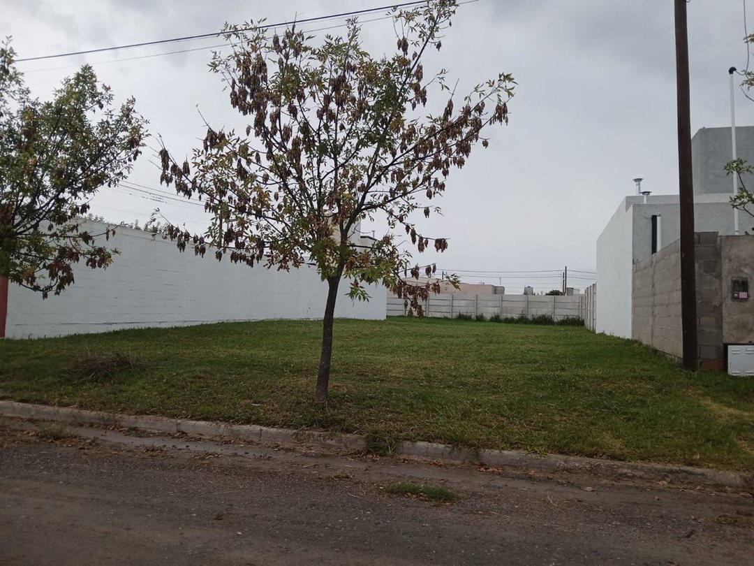 Lote en venta - La Alameda