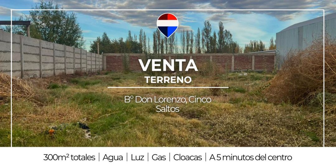 VENTA TERRENO CINCO SALTOS
