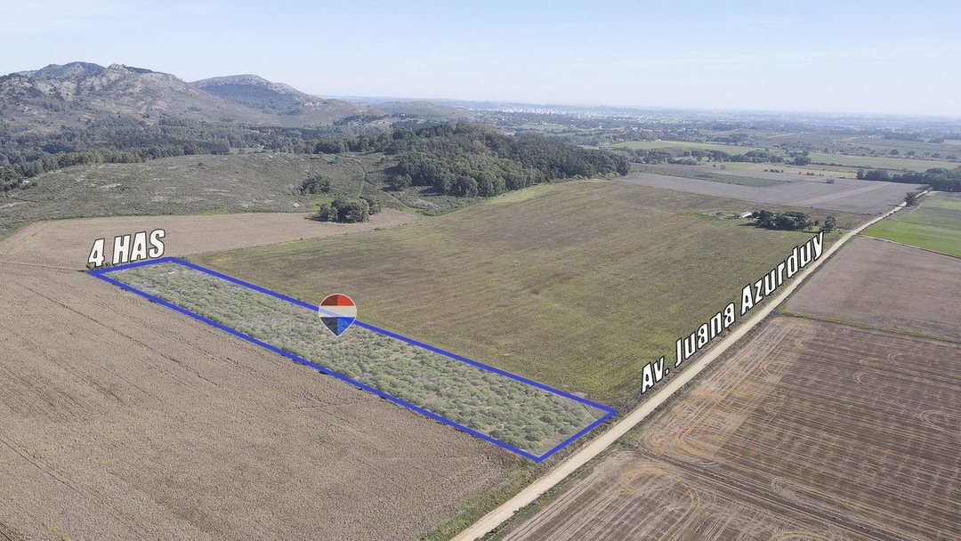 4 Has en Tandil (La Vaguada) VENTA O PERMUTA