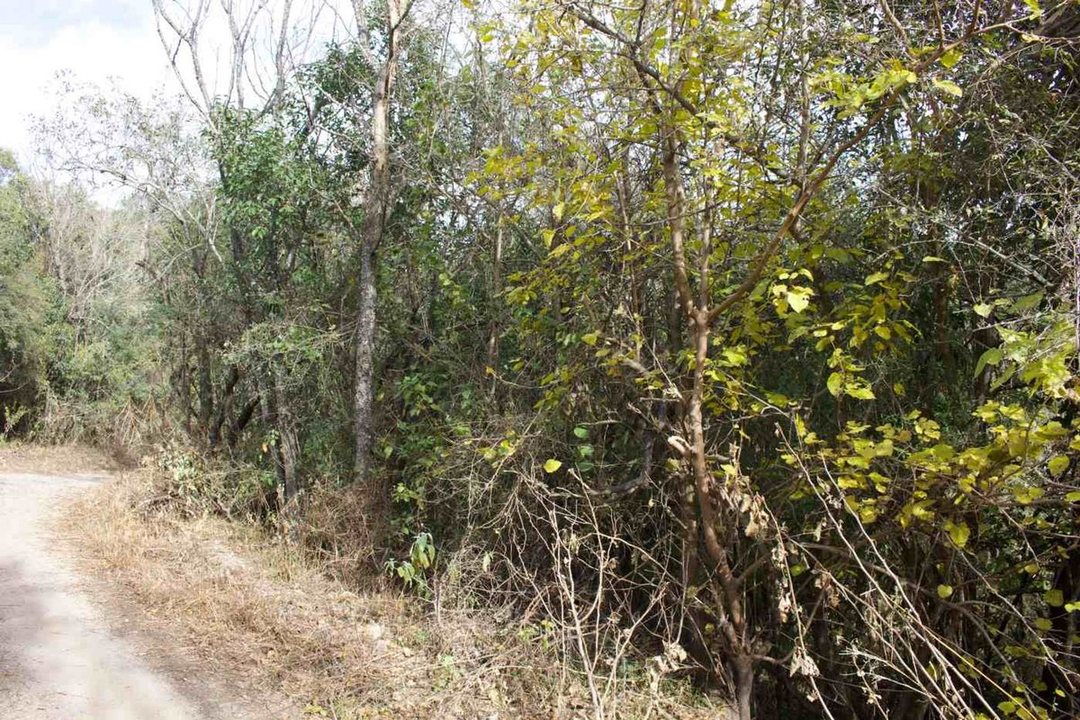 VENTA TERRENO 392M2 VILLA PAN DE AZUCAR COSQUIN