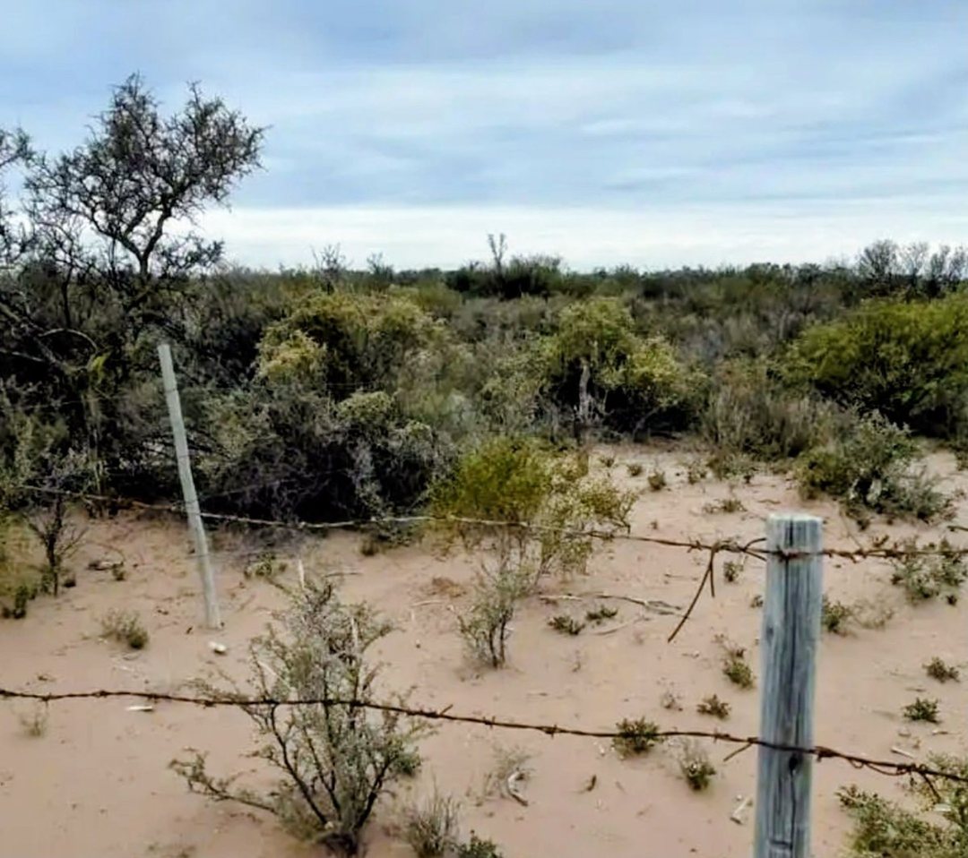 Remax Vende Campo