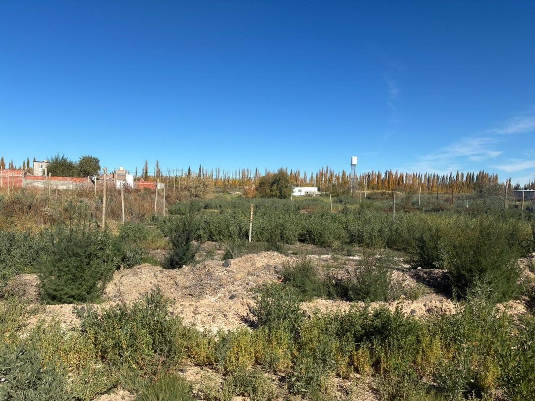 Terreno en  Venta en Barrio PROCREAR