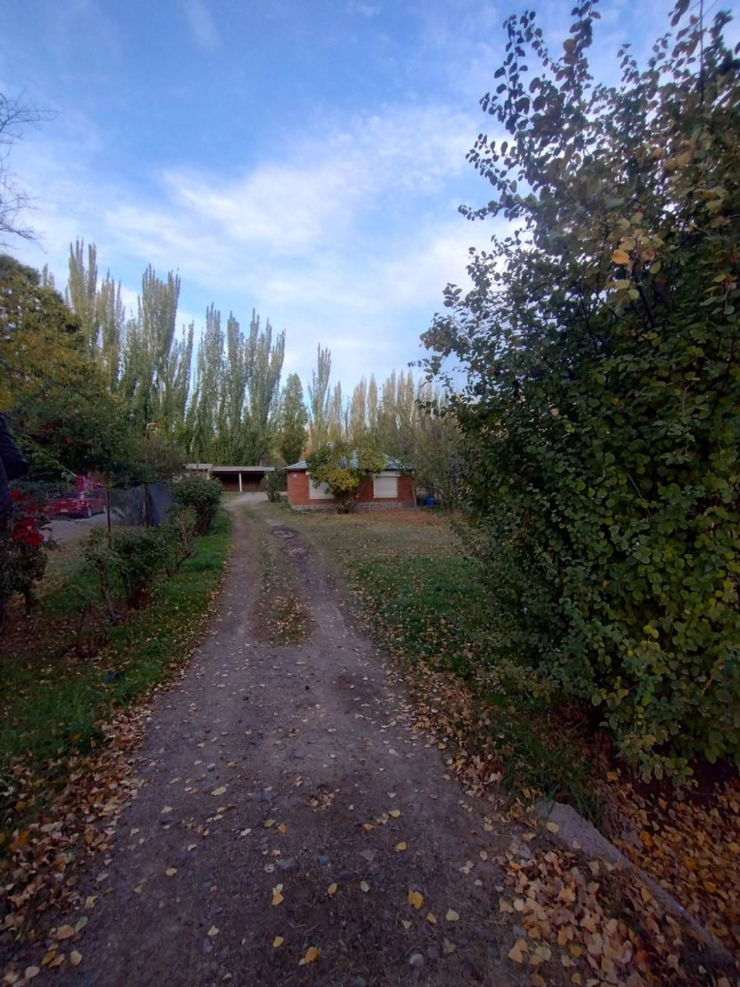 CASA QUINTA EN ALQUILER (VILLA REGINA)