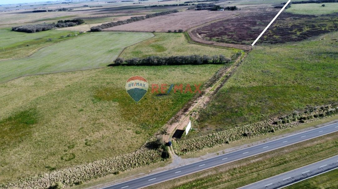 CAMPO VENTA 32 HECTAREAS EN GENERAL MADARIAGA
