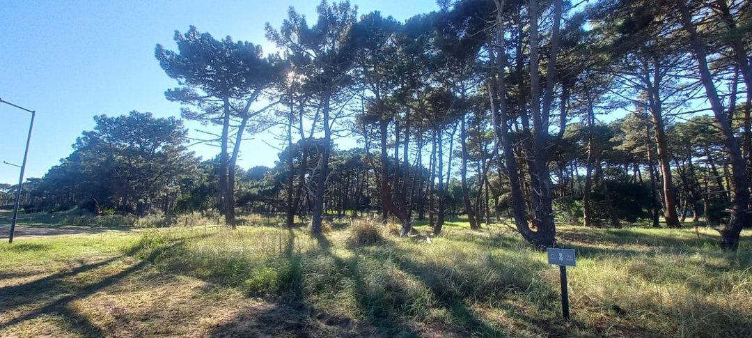 Excelente Lote - Barrio Bosques, Pinamar