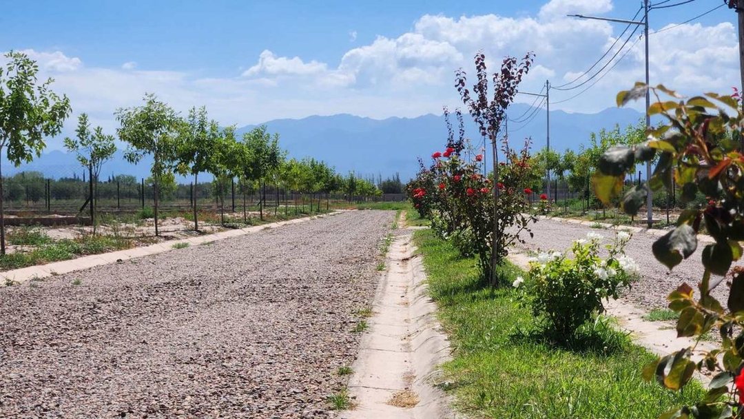 Venta Lote 900 m2 B° Atardeceres de Vieytes