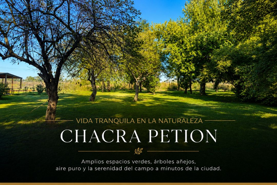 VENTA LOTE CHACRA PETION CAÑUELAS