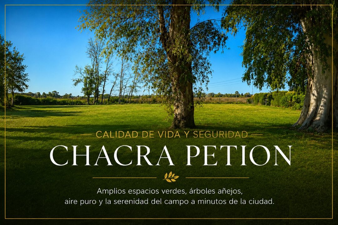 VENTA LOTE CHACRA PETION CAÑUELAS