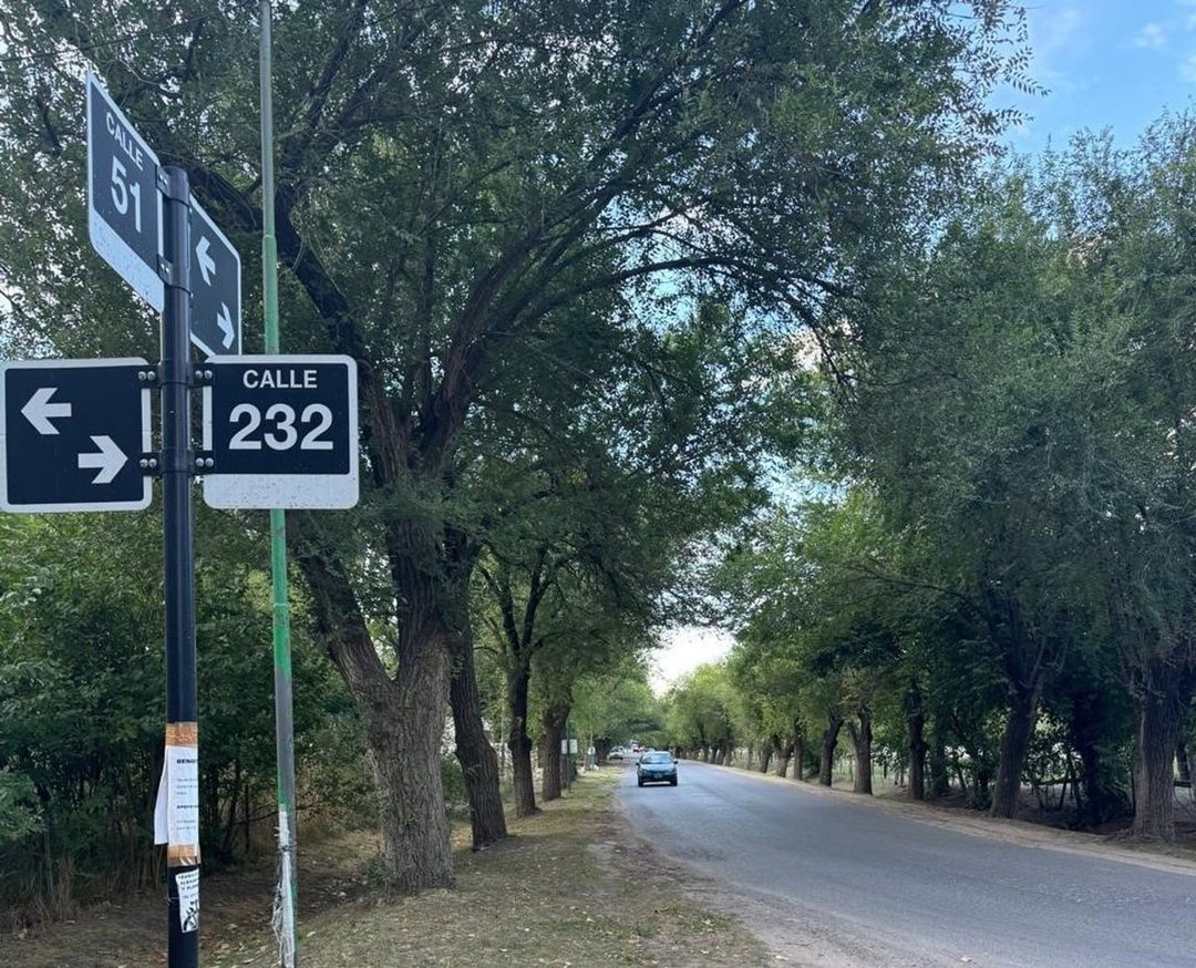 Lotes en Venta en Lisandro Olmos Etcheverry