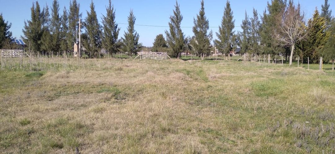 VENTA LOTE 3.700 m2.-CON ESCRITURA-CHASCOMÚS