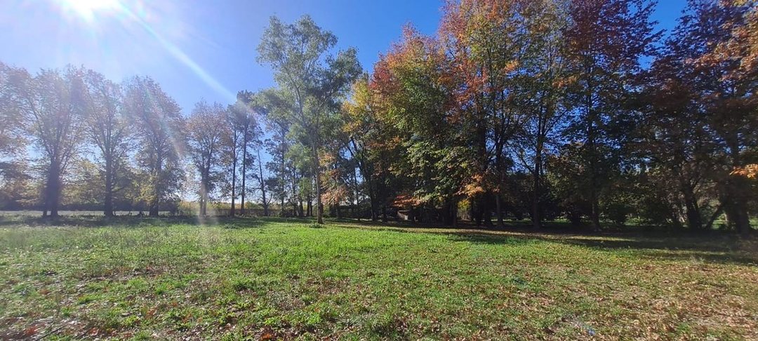 VENTA CAMPO EN PILAR, OPORTUNIDAD. 4 HECTAREAS.
