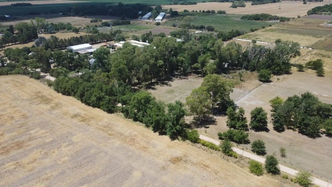venta campo zarate