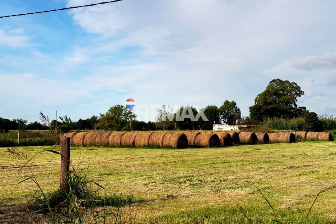 VENTA 6 HAS EN RECREO - IDEAL INVERSIÓN CON RENTA