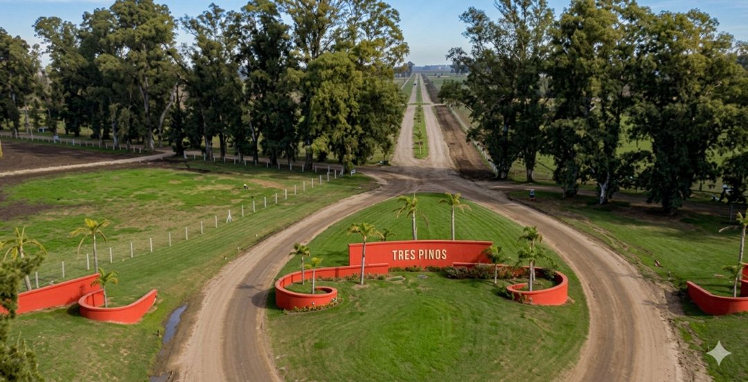 Venta Lote 1000m -B Las Casuarinas- Gral Rodriguez