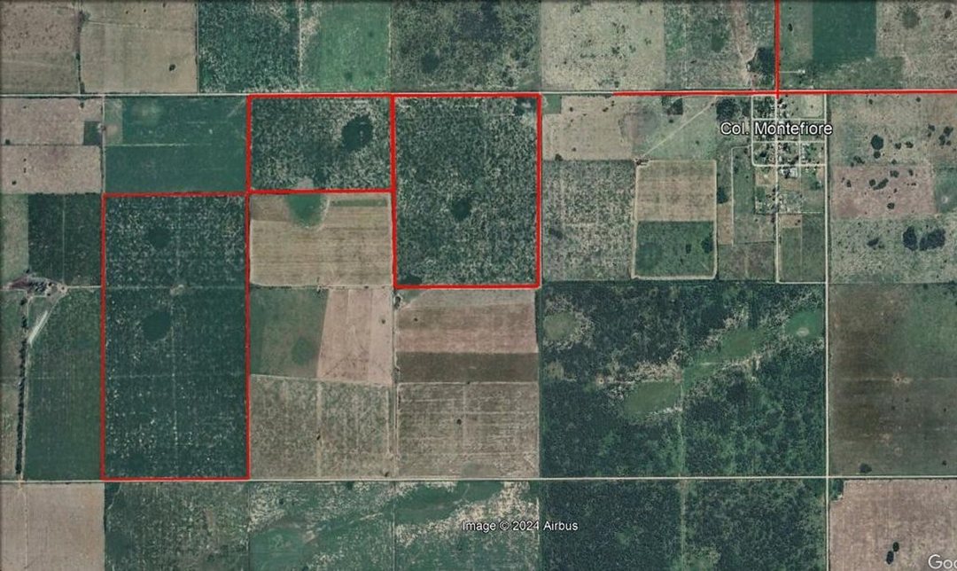 225 HA CAMPO AGRCOLA-GANADERO EN MONTEFIORE