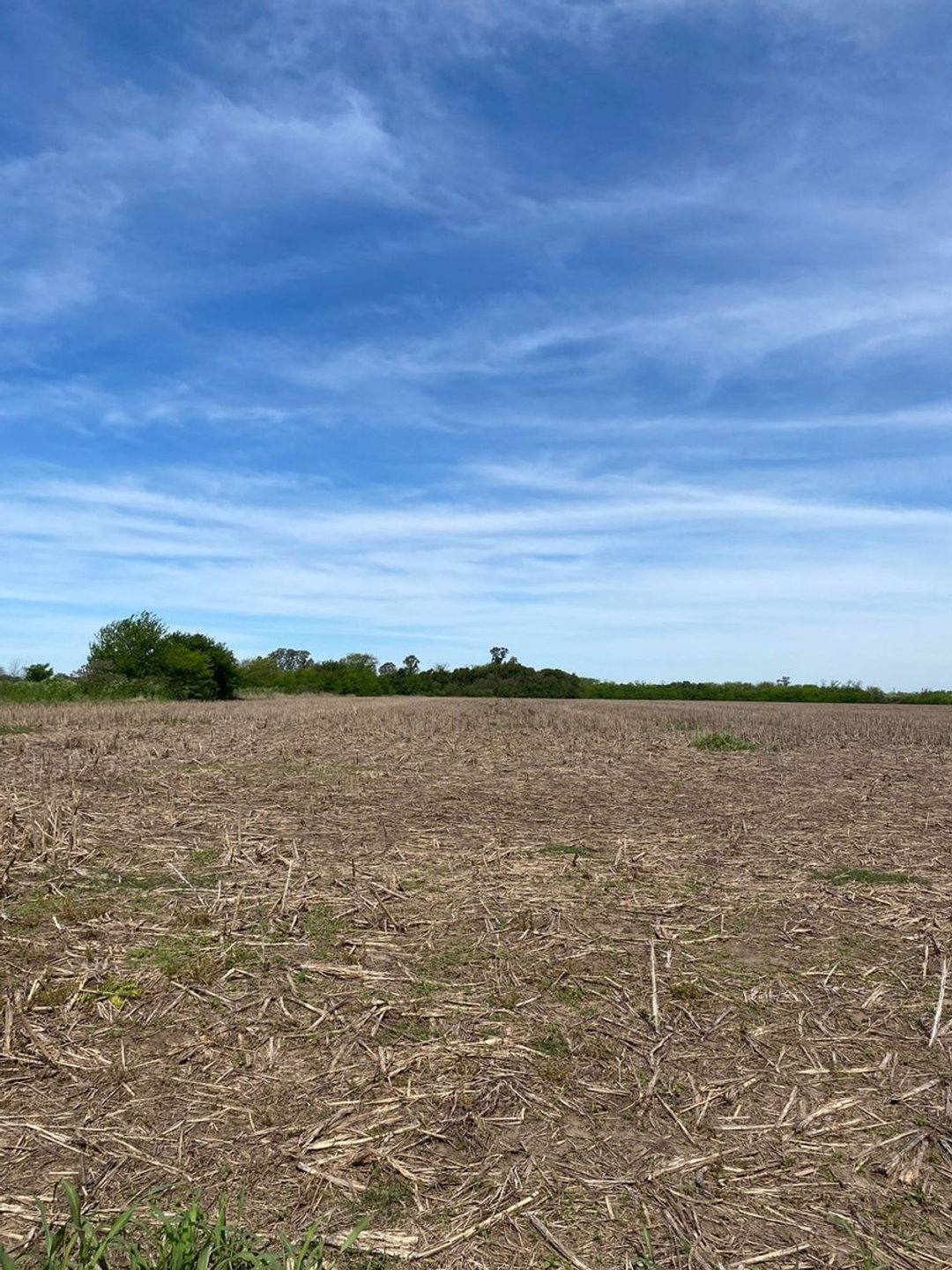 CAMPO AGRICOLA EN VENTA EN AYERZA PERGAMINO