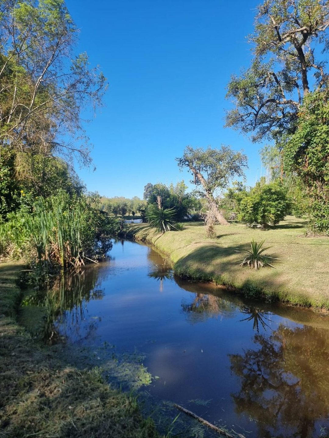 LOTE 7500MTS EN VENTA TIGRE ARROYO SABALO OPORTUNI