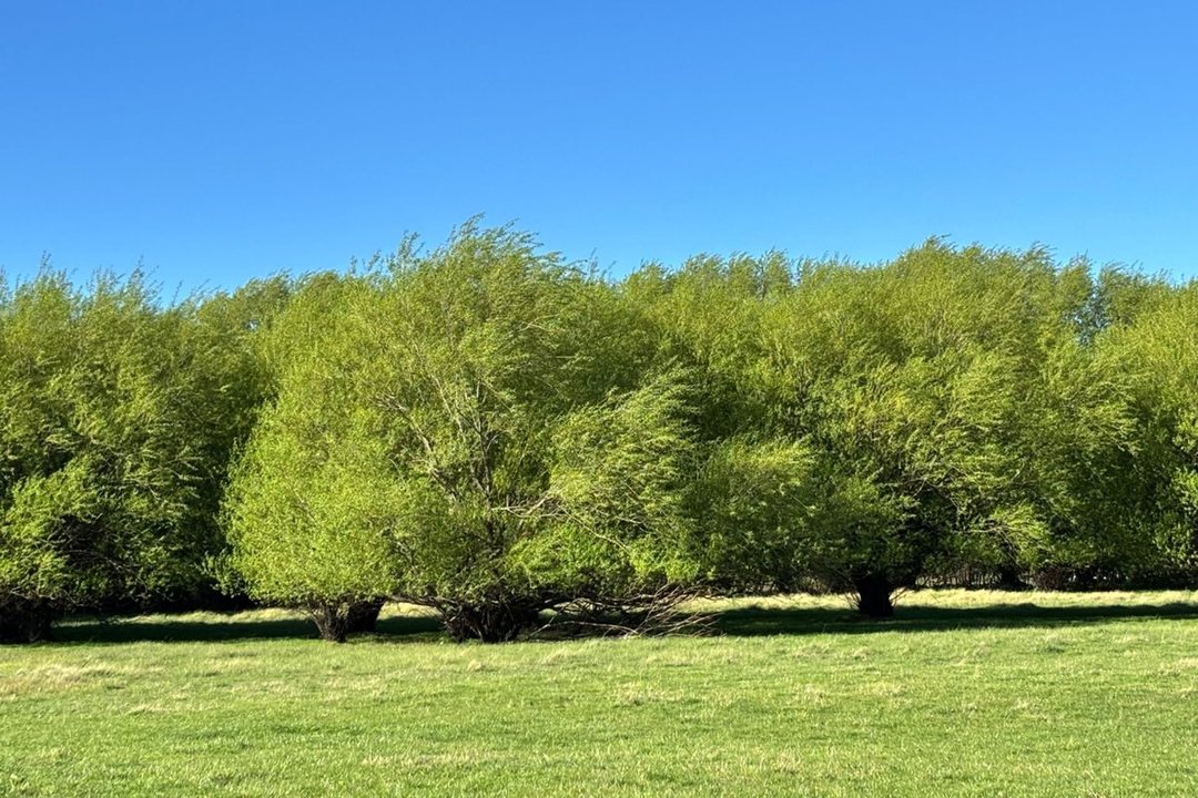 Terreno en Aldea Escolar