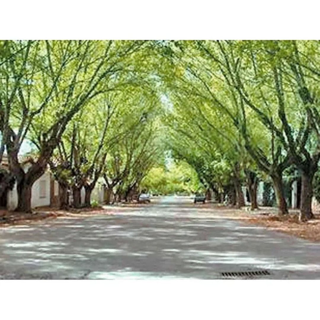 OPORTUNIDAD COMERCIAL - Alquiler CHACRAS DE CORIA
