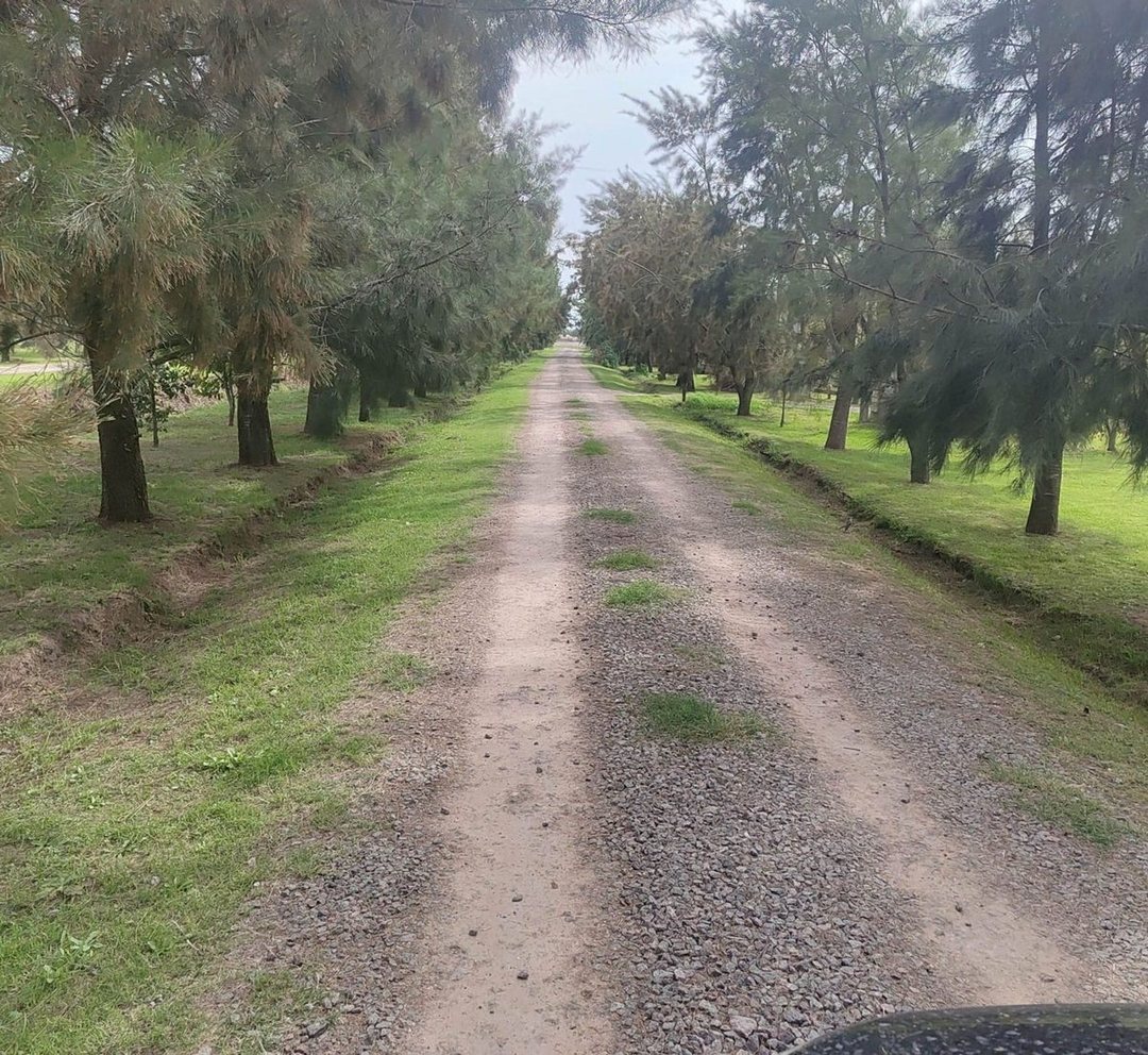 LOTE VENTA SAN MIGUEL DEL MONTE TERRENO 1.200 M2