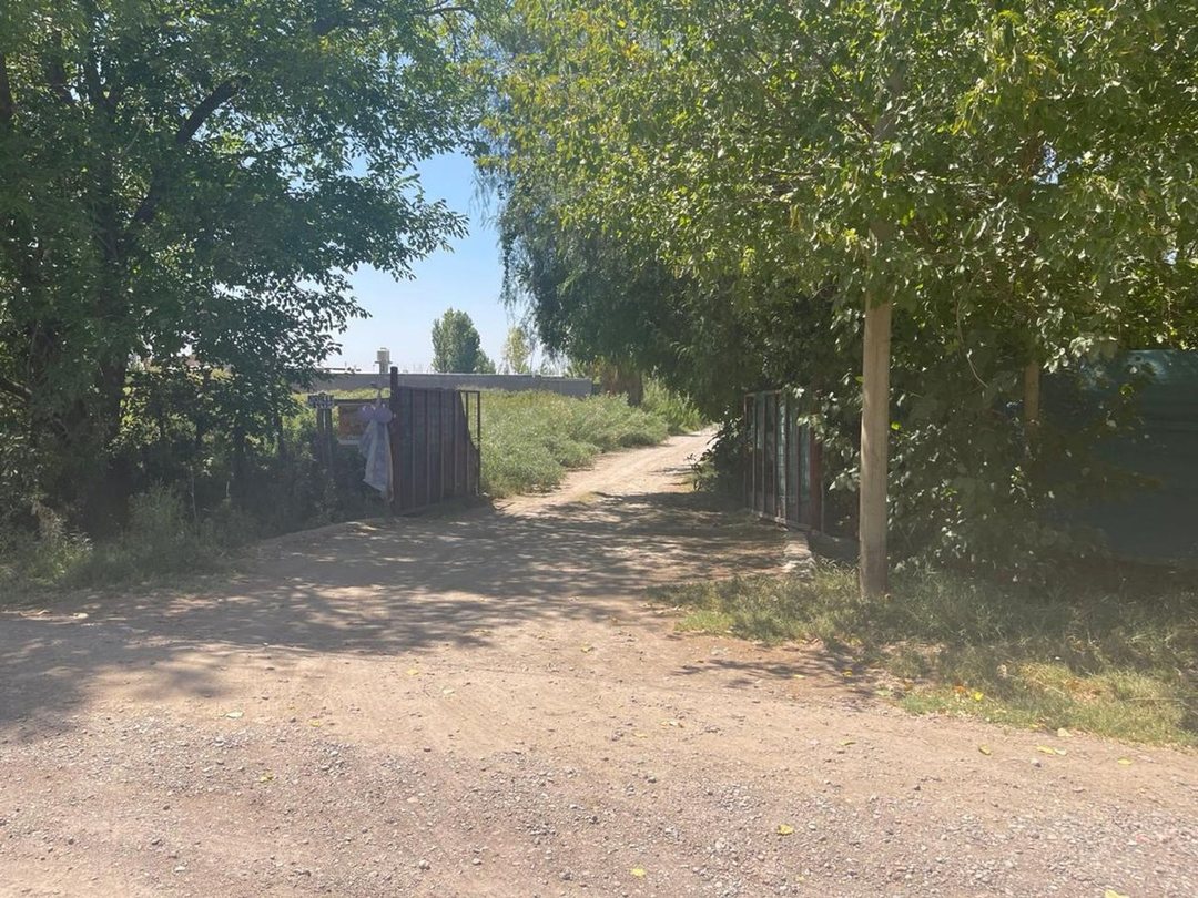 LOTE 5000m CALLE MIRALLES 1KM DE S. DEL CASTILLO,