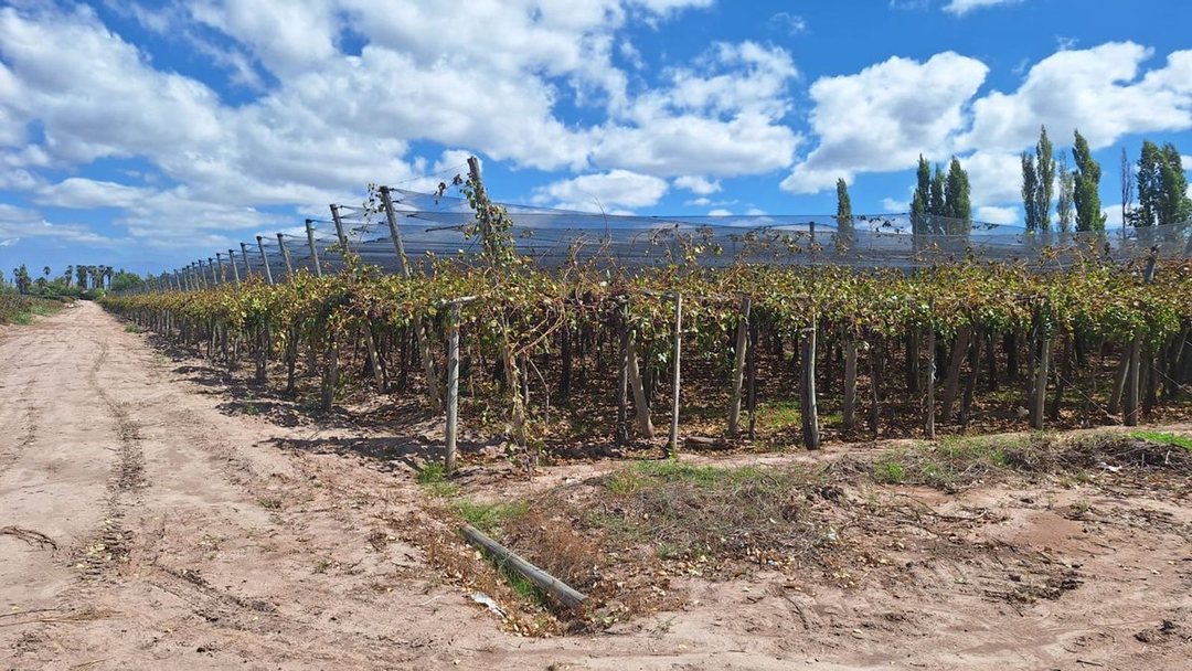 Venta de Finca en producción.