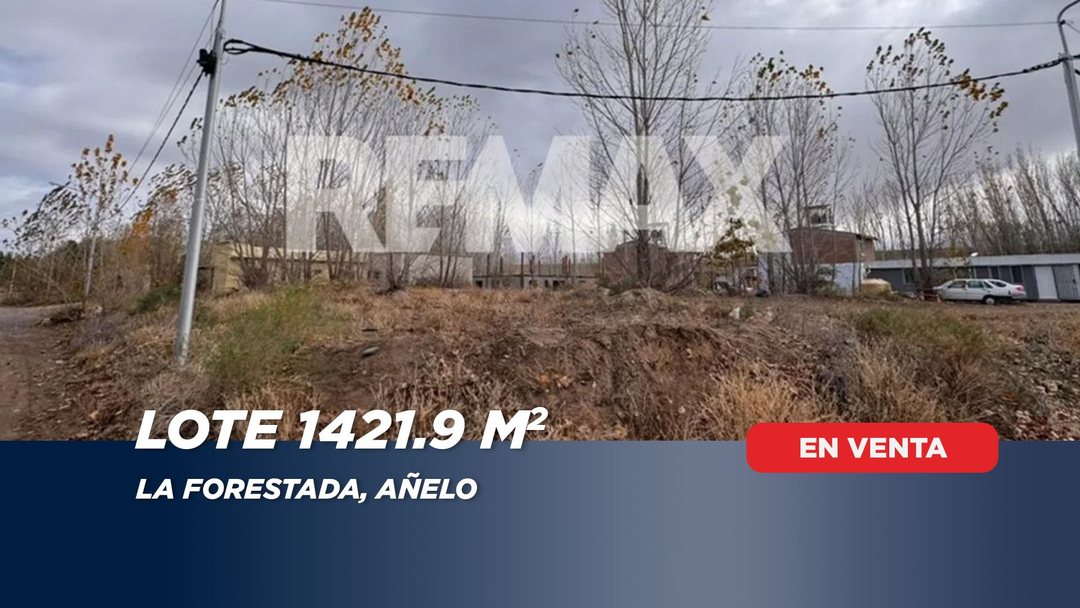 VENTA LOTE DE 1421 M2 UNIFICADO LA FORESTADA AÑELO
