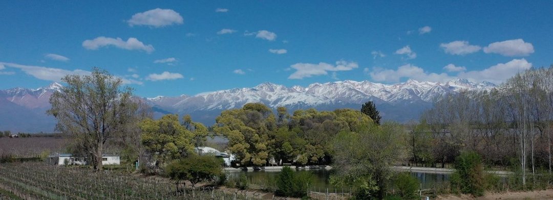 Venta Finca OrgánicaTupungato Mendoza
