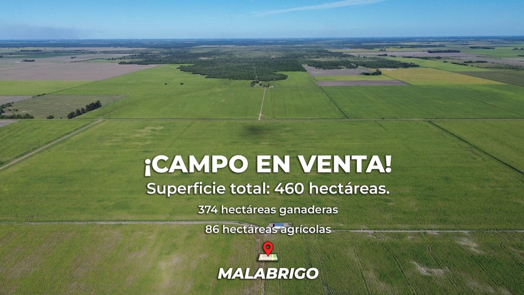 Campo mixto en MALABRIGO (Santa Fe)