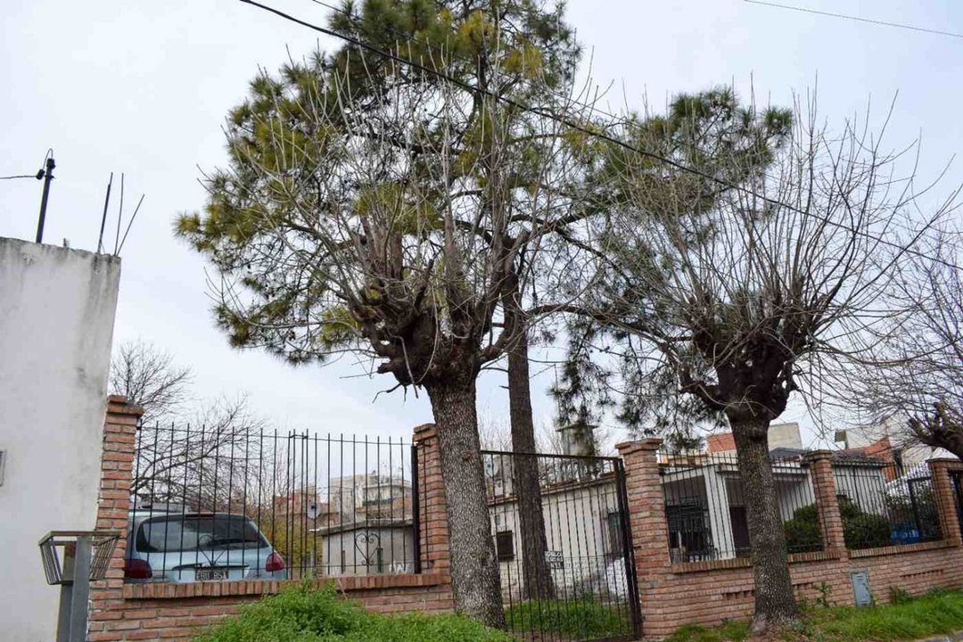 CASA A RECICLAR -LOTE PROPIO 600 M2  -VILLA CELINA