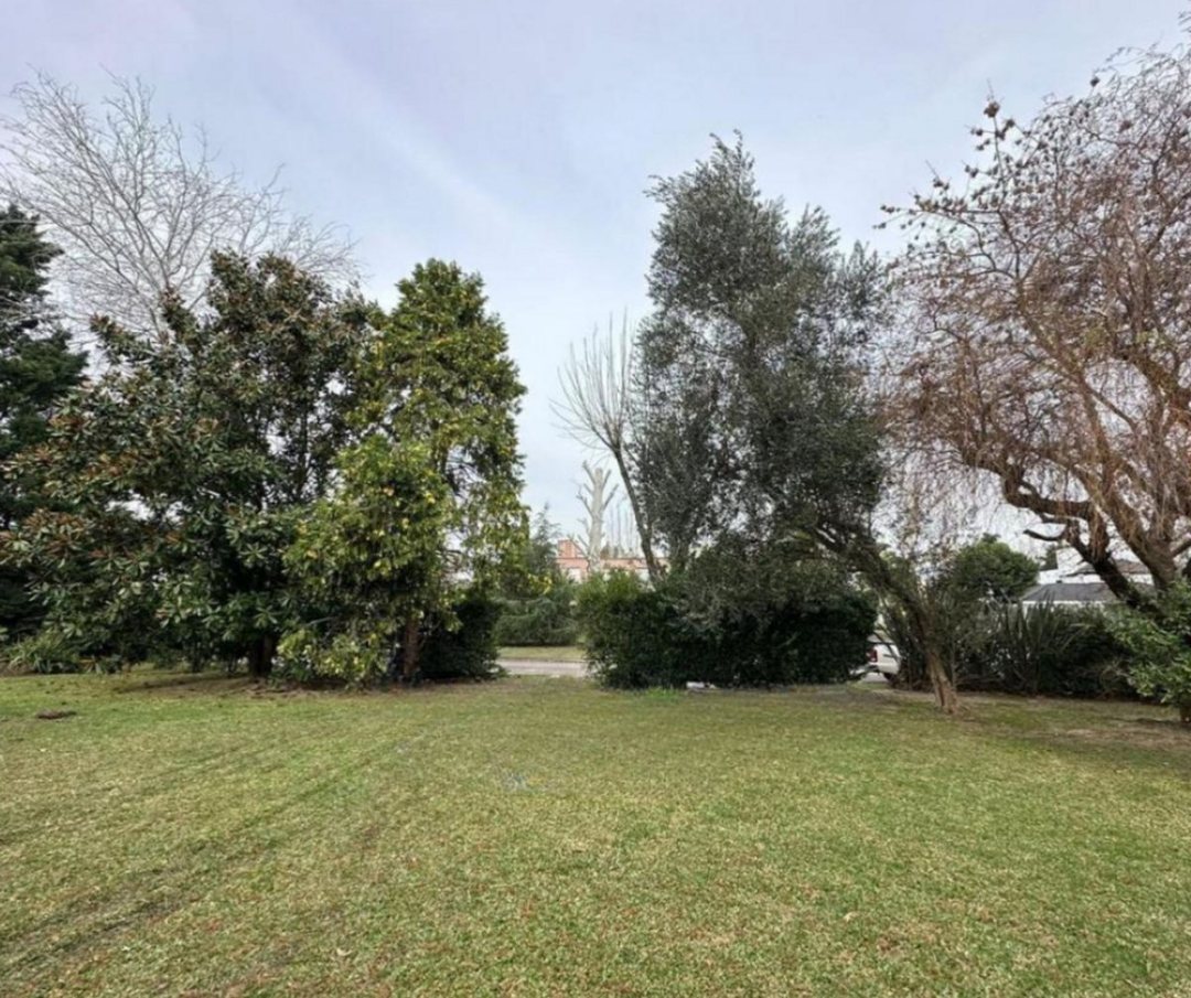 VENTA LOTE 713 MTS SAN PATRICIO ULTIMO DISPONIBLE