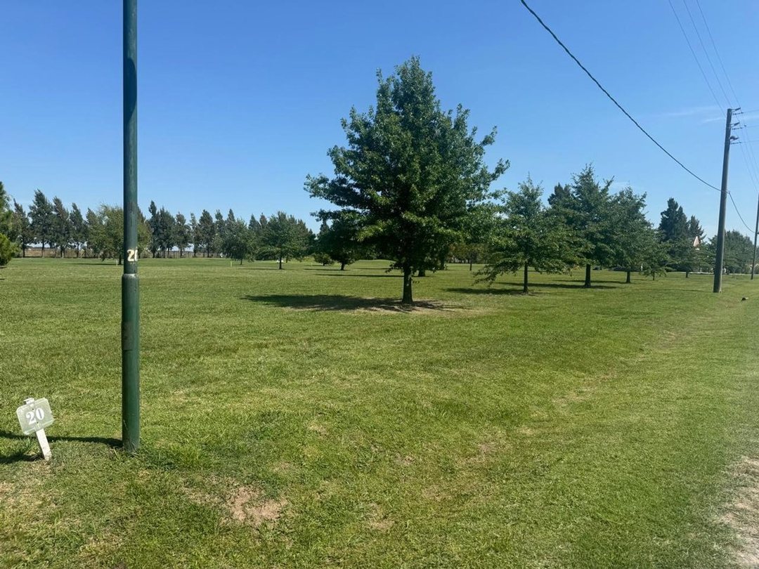 LOTE FINCAS DE SAN VICENTE GOLF