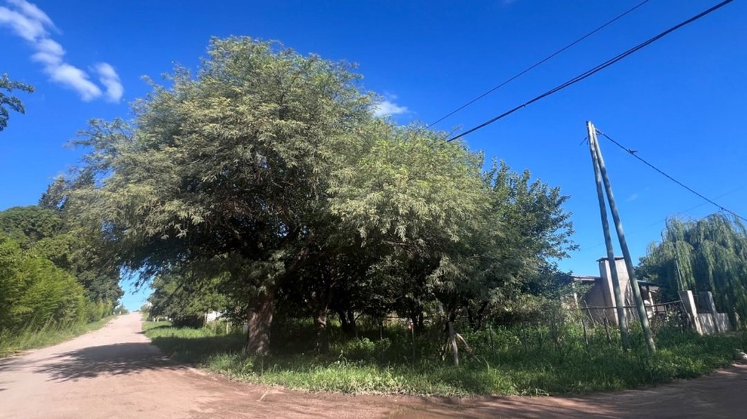 VENTA LOTE VILLA DEL TOTORAL