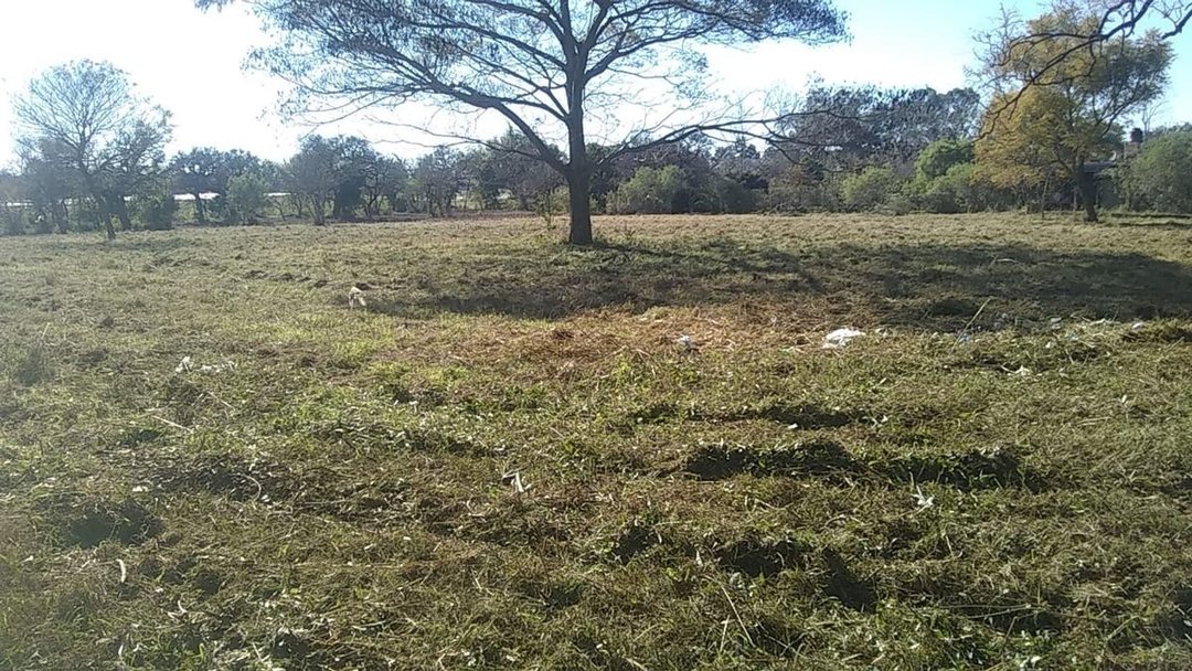 TERRENO EN ARROYO LEYES