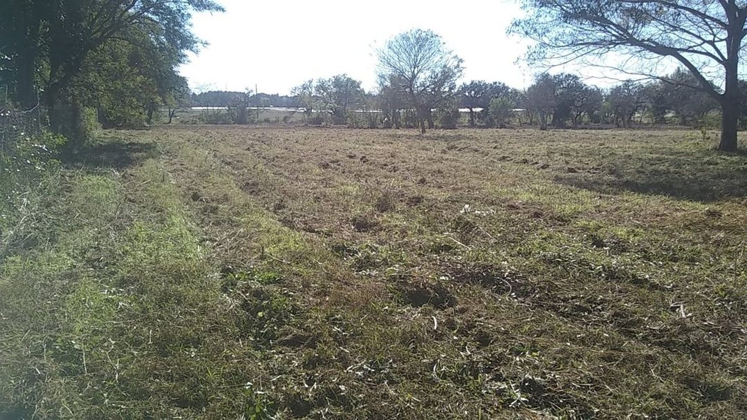 TERRENO EN ARROYO LEYES