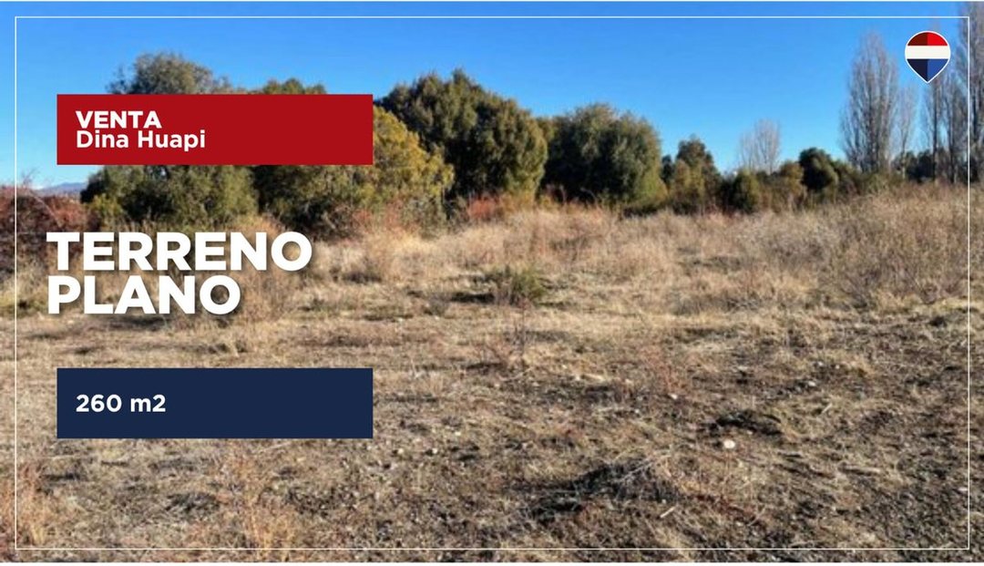 Lote Dina Huapi OPORTUNIDAD