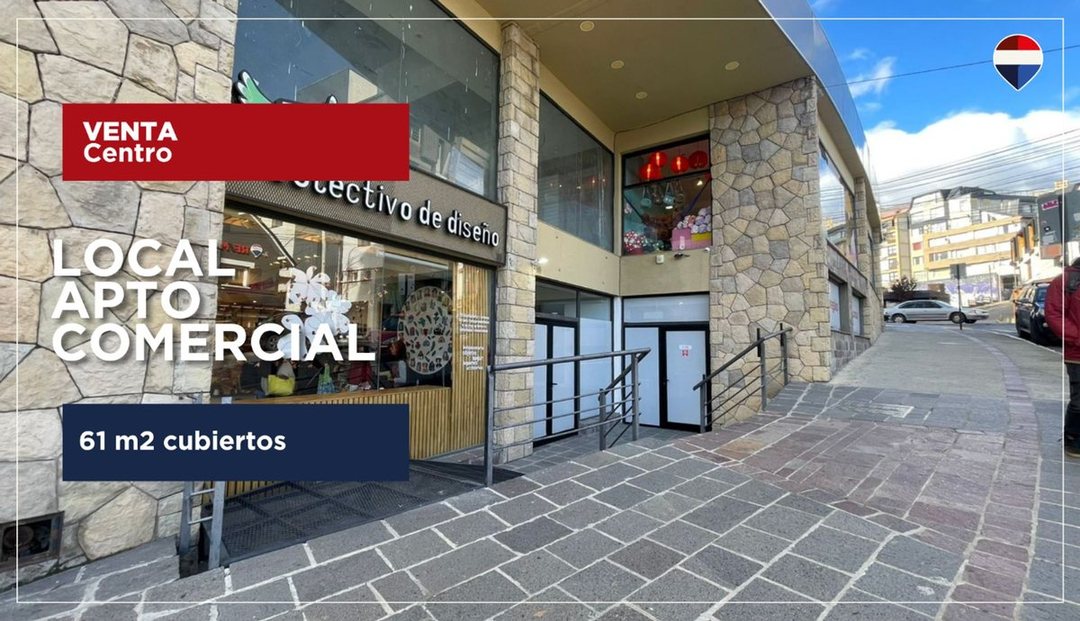 Local APTO COMERCIAL Y PROFESIONAL centro