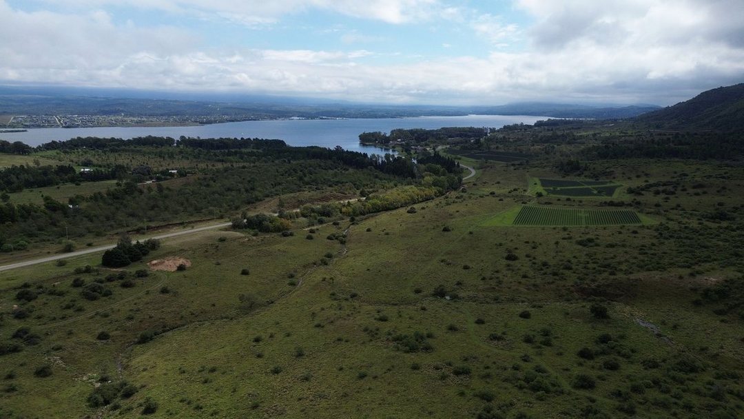 EXCEPCIONAL LOTE 61 HA AL LADO VIÑEDOS MOLVENTO